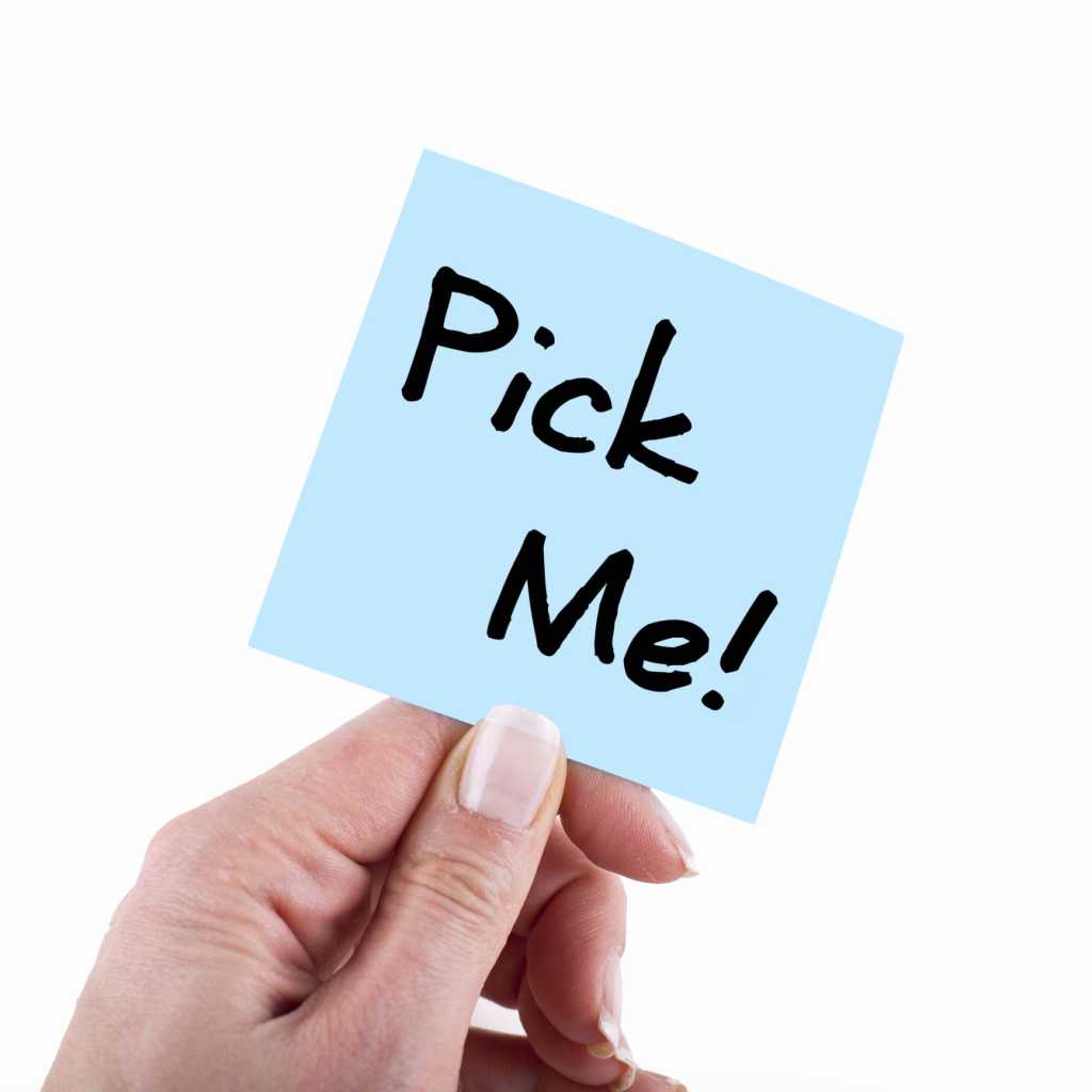 choosing a ceo